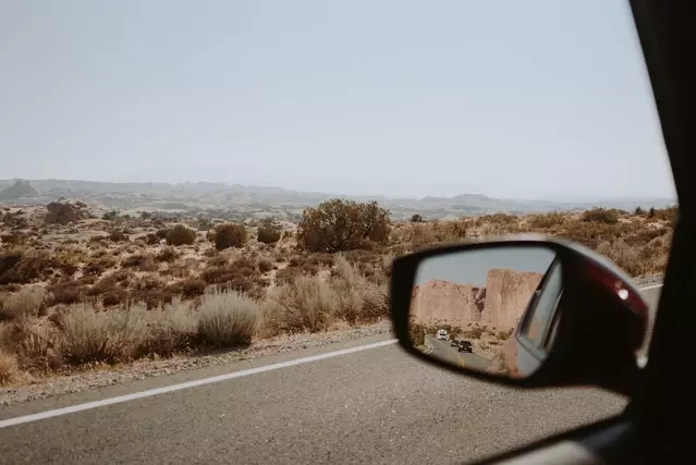 Asphalt road near savanna with bushes. Photo by Dziana Hasanbekava.